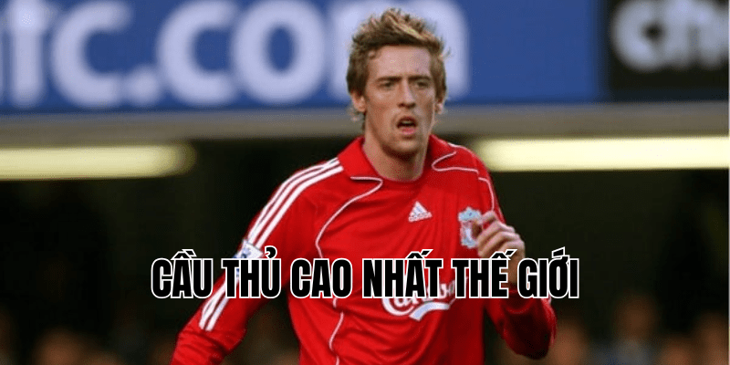 cầu thủ cao nhất thế giới