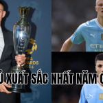 cầu thủ xuất sắc nhất năm của PFA