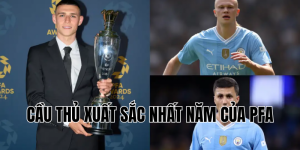 cầu thủ xuất sắc nhất năm của PFA